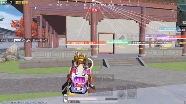 探索和平精英辅助对游戏公平性的挑战